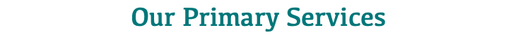 Our Primary Services